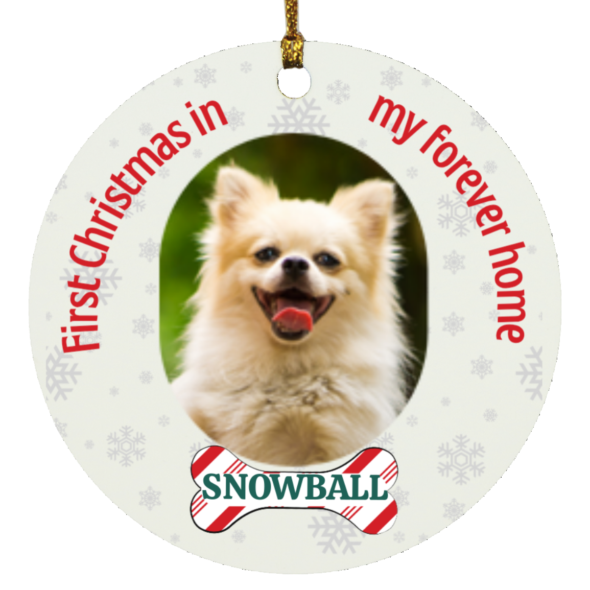 Pet Personalized First Christmas Ornament, Custom Dog Christmas Ornament, Cat Christmas Photo Ornament, Pet Portrait Name Gift