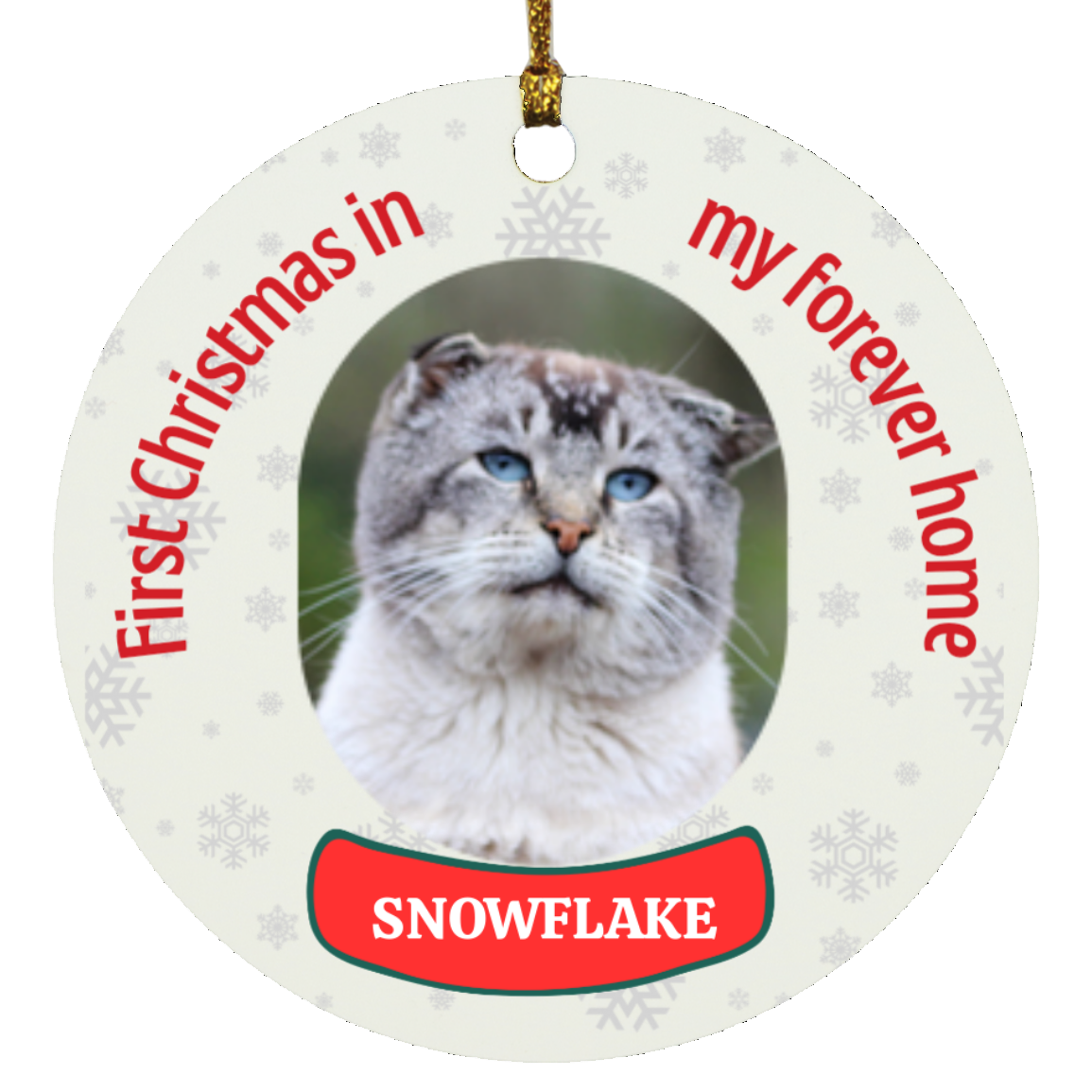 Pet Personalized First Christmas Ornament, Custom Dog Christmas Ornament, Cat Christmas Photo Ornament, Pet Portrait Name Gift