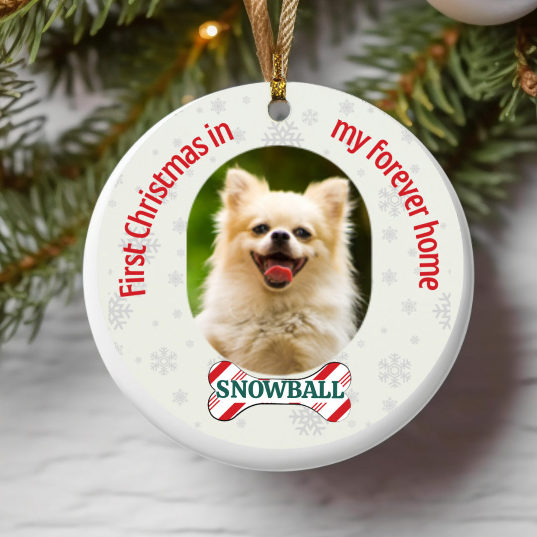 Pet Personalized First Christmas Ornament, Custom Dog Christmas Ornament, Cat Christmas Photo Ornament, Pet Portrait Name Gift