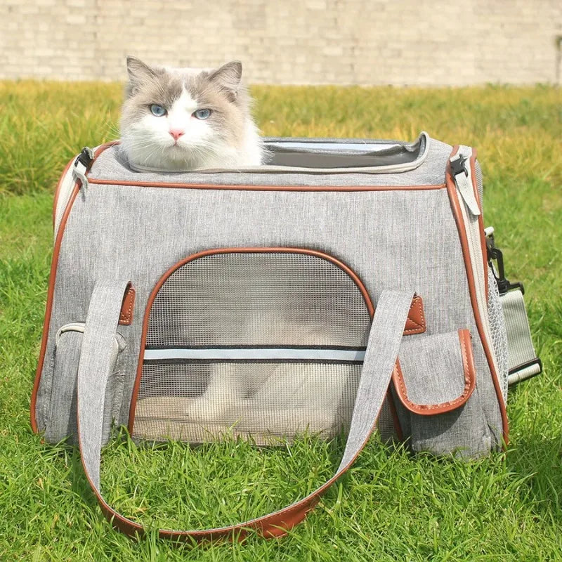 Airline Approved Pet Carrier